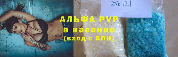 гашик Арсеньев