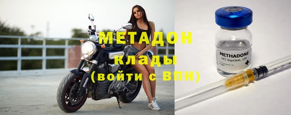 хмурый Аркадак