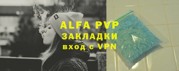 гашик Арсеньев