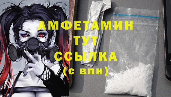 дживик Баксан