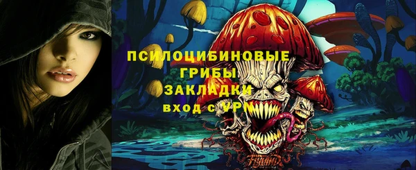 гашик Арсеньев