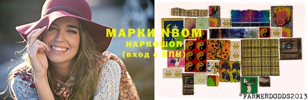 дживик Баксан